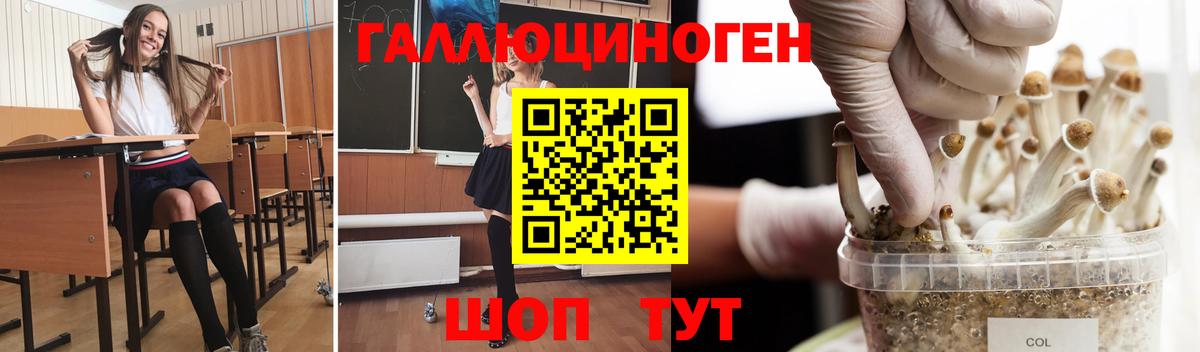 Псилоцибиновые грибы мицелий Краснодар
