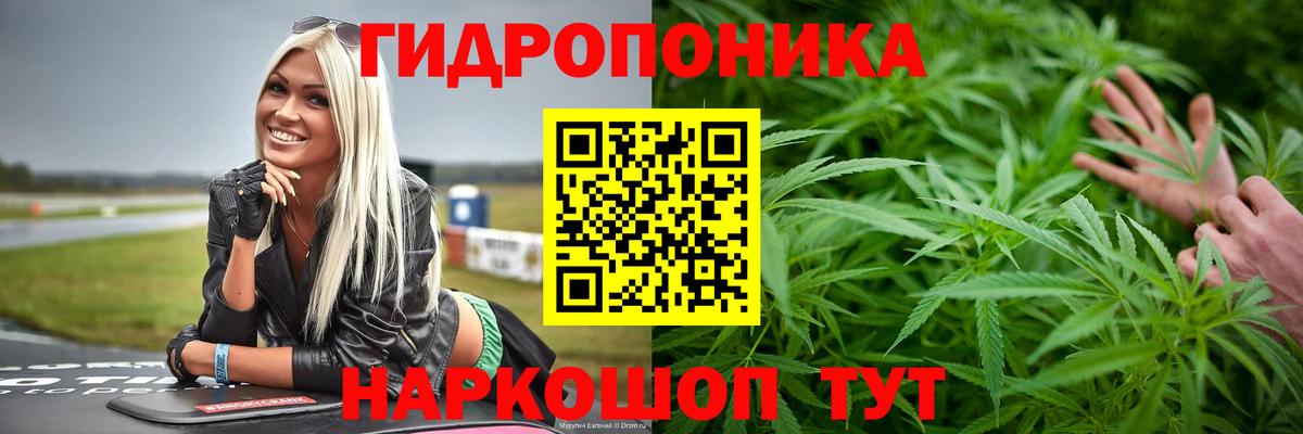Марихуана сатива  Марихуана семена  Вход с VPN  Краснодар  Канабис семена  Бошки марихуана ГИДРОПОН 
